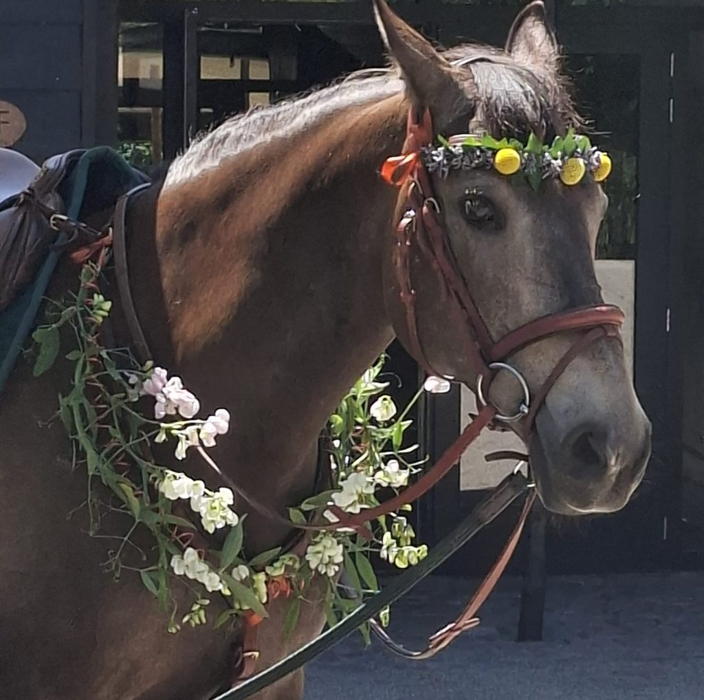 Versiering paard 01